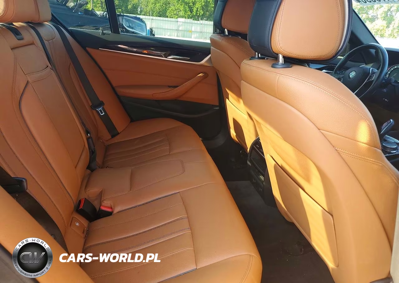 2019 BMW 530 Xi VIN:WBAJA7C53KWC77503 - 10