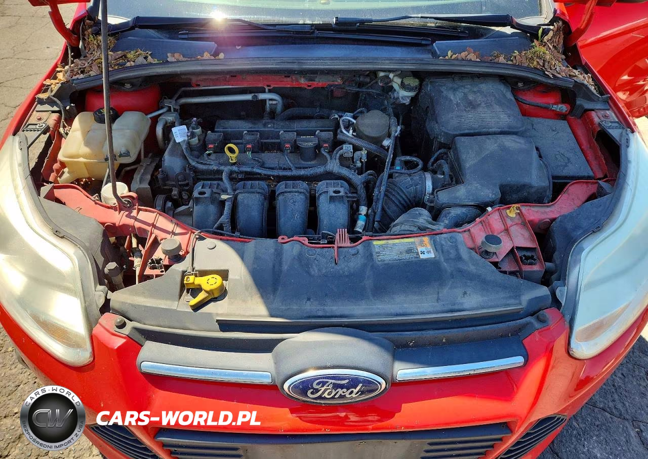 2014 Ford Focus Se VIN:1FADP3F20EL235596 - 11
