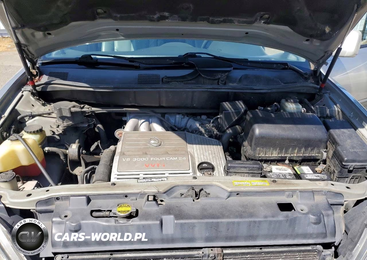 1999 Lexus Rx 300 VIN:JT6HF10U1X0075768 - 12