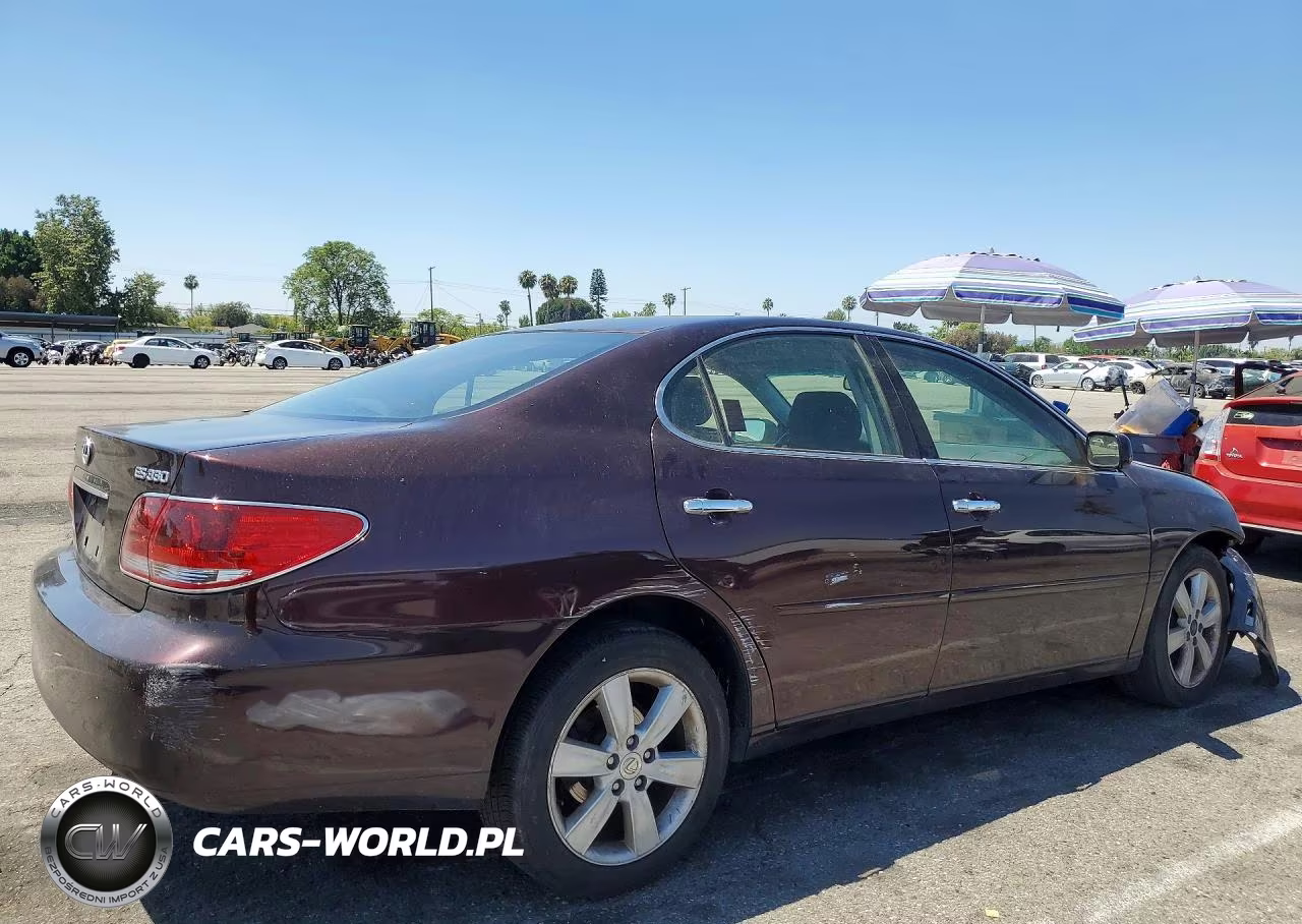 2005 Lexus Es 330 VIN:JTHBA30G255137177 - 3