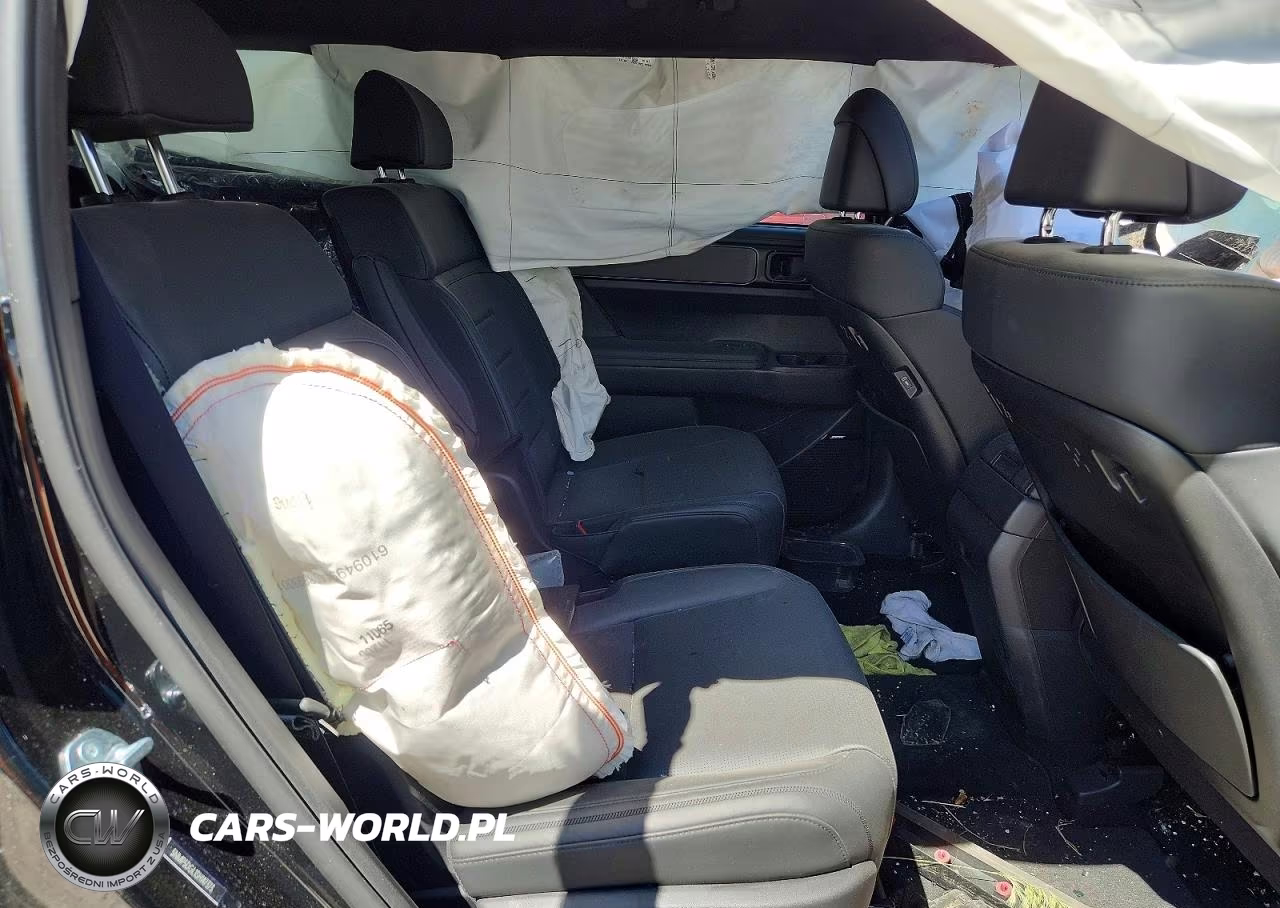 2025 Hyundai Santa Fe Calligraphy VIN:5NMP5DGL1SH147373 - 10