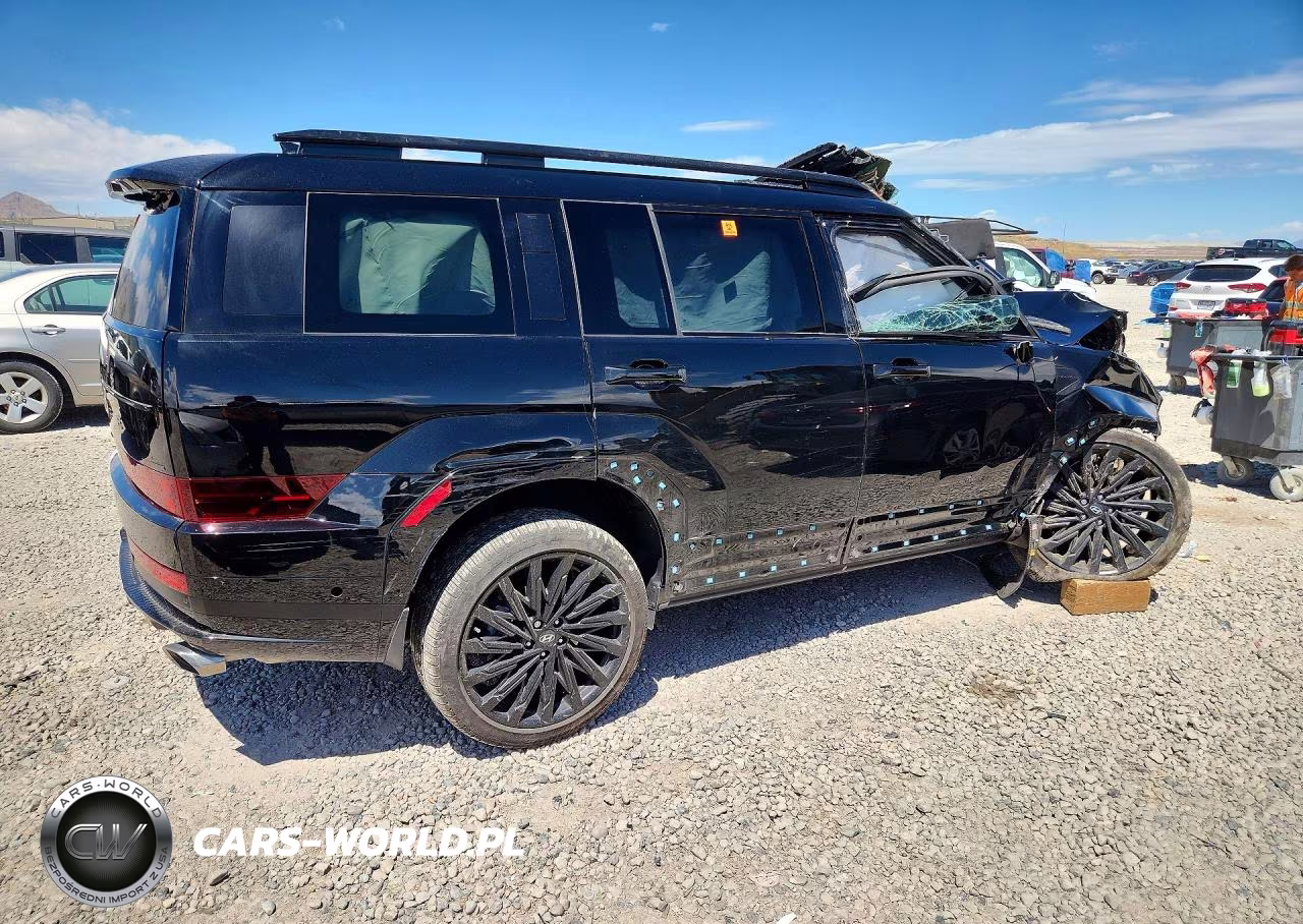 2025 Hyundai Santa Fe Calligraphy VIN:5NMP5DGL1SH147373 - 3