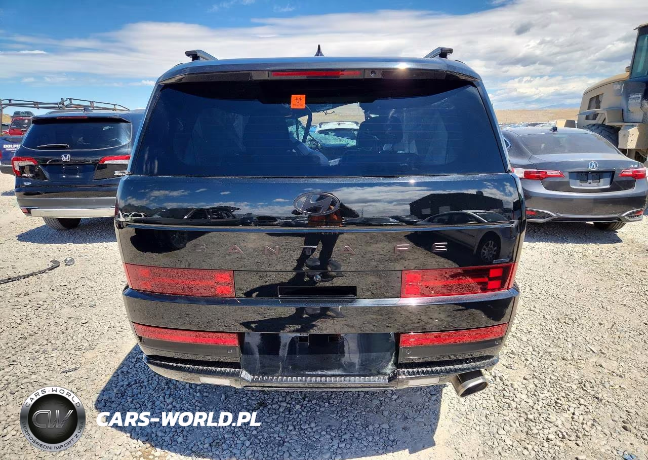 2025 Hyundai Santa Fe Calligraphy VIN:5NMP5DGL1SH147373 - 6