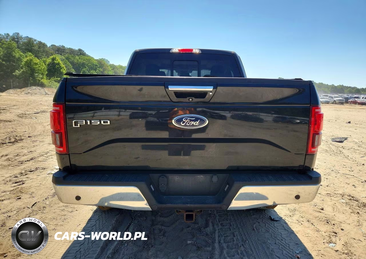 2015 Ford F150 Supercrew VIN:1FTEW1EG5FFA22209 - 6