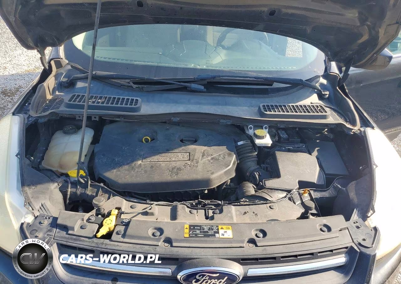 2015 Ford Escape Se VIN:1FMCU9G9XFUA83217 - 11