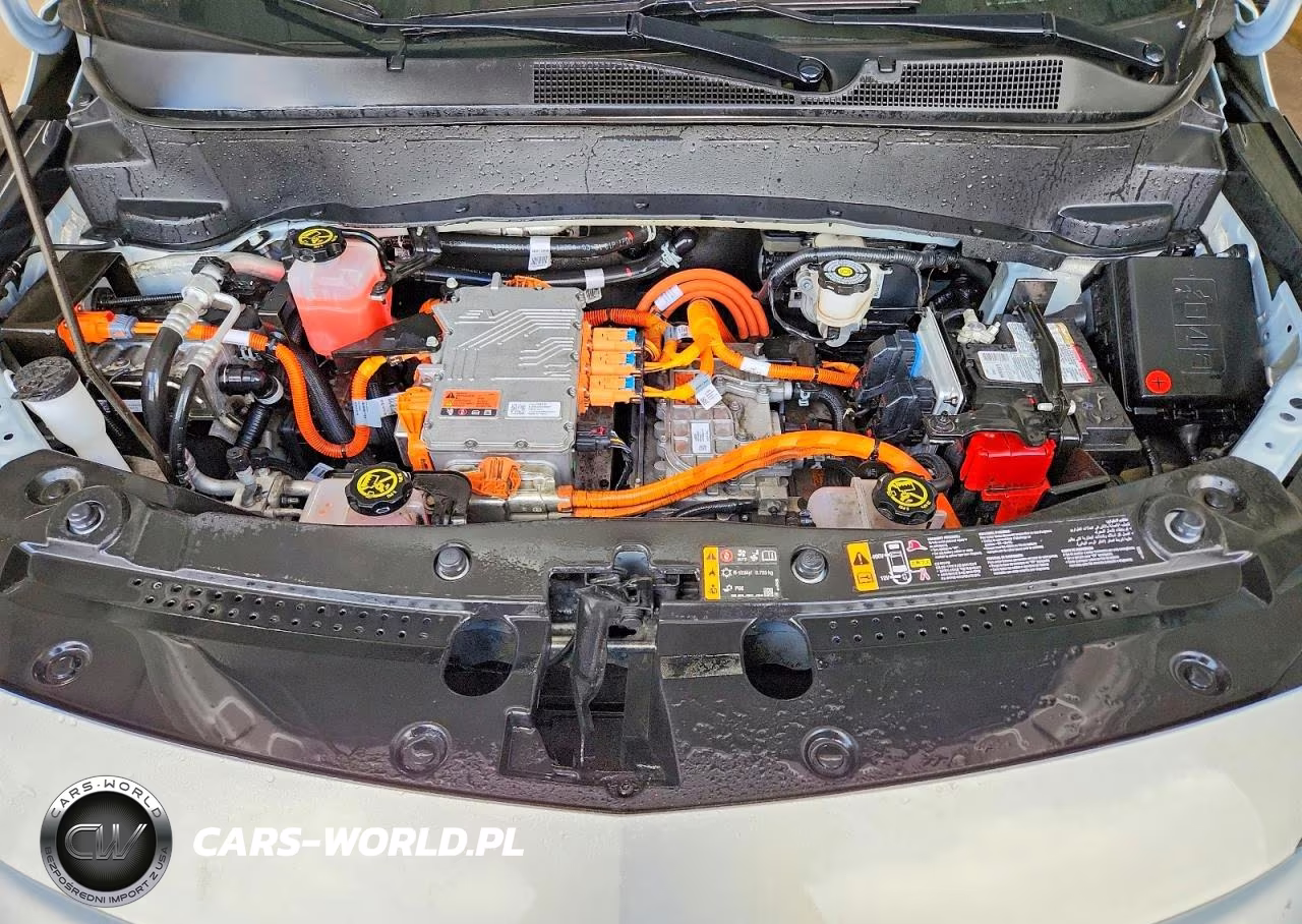 2023 Chevrolet Bolt Euv Lt VIN:1G1FY6S01P4180961 - 12