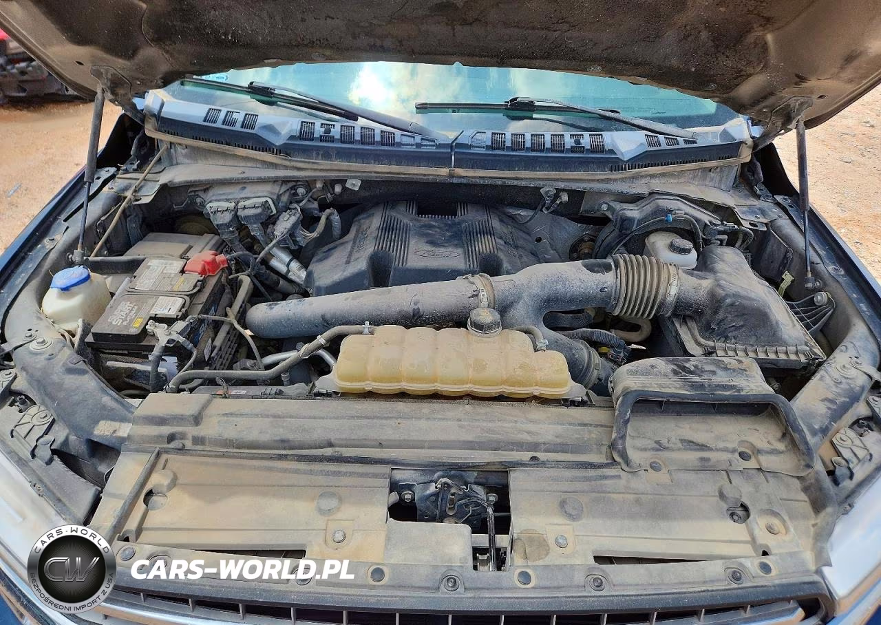2019 Ford F150 Supercrew VIN:1FTEW1E42KKD70606 - 11