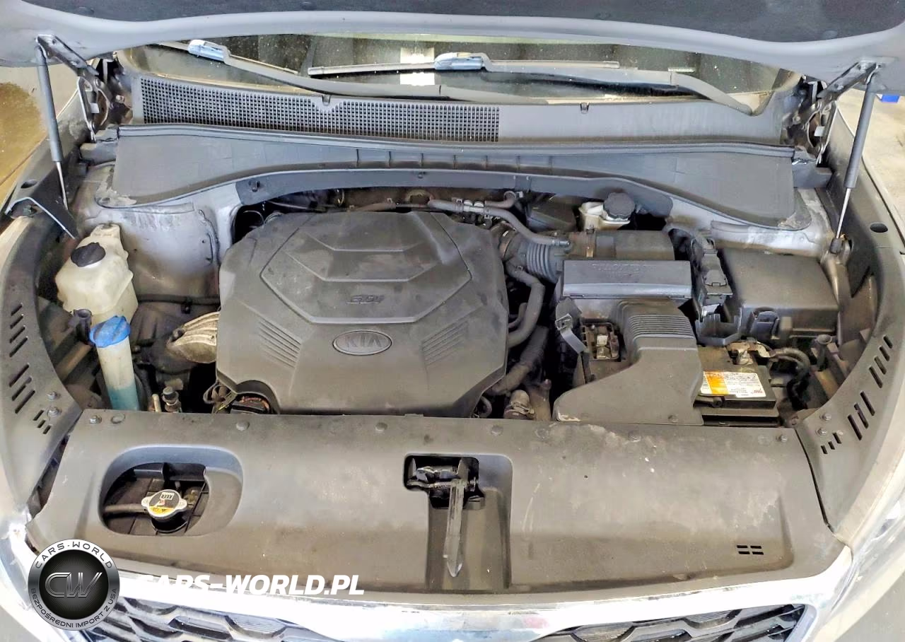 2019 Kia Sorento Lx V6 VIN:5XYPGDA51KG449194 - 12