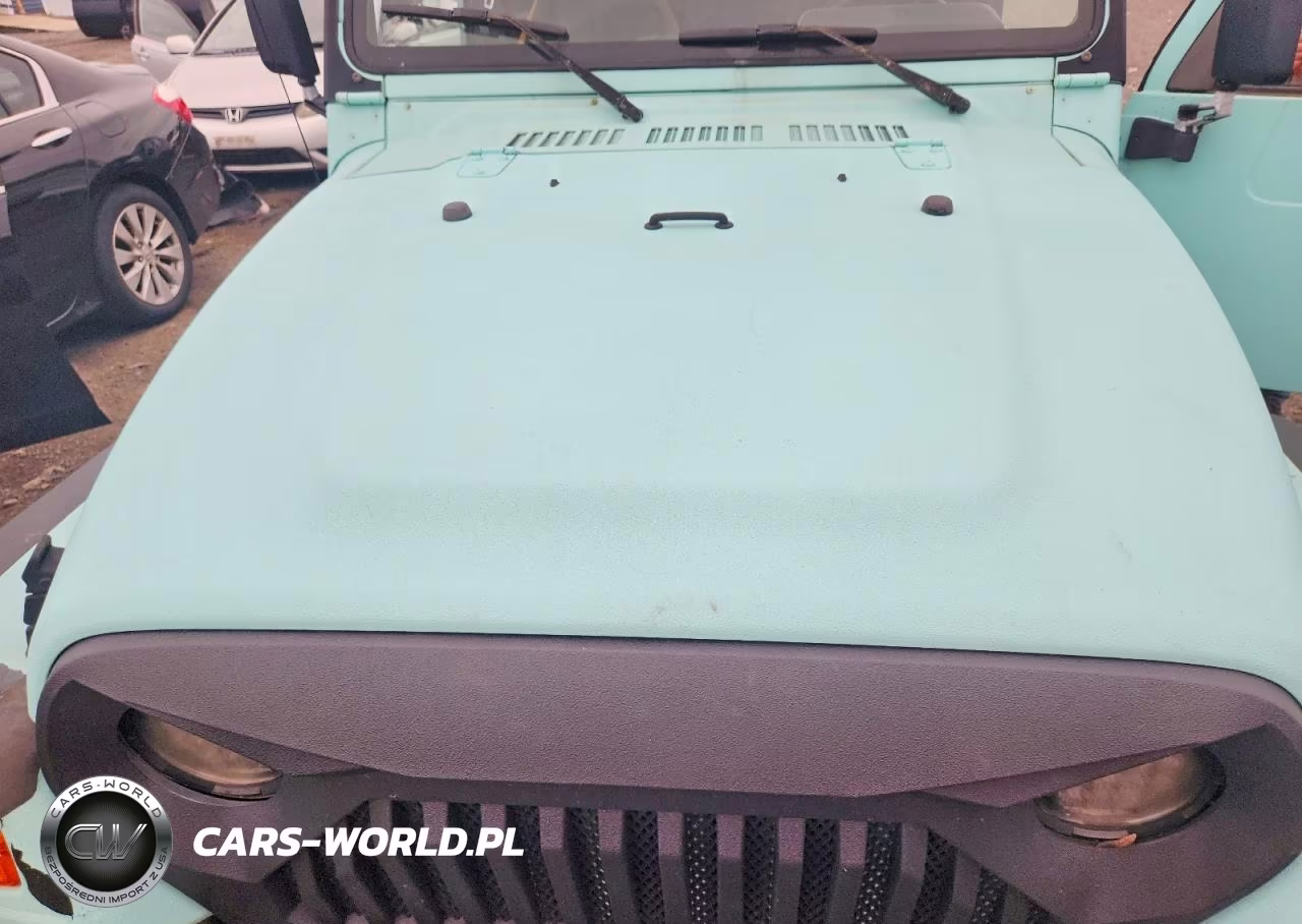 1997 Jeep Wrangler - Tj Sahara VIN:1J4FY49S7VP479198 - 12