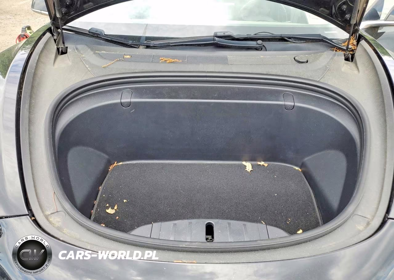 2019 Tesla Model 3 VIN:5YJ3E1EB5KF359296 - 11