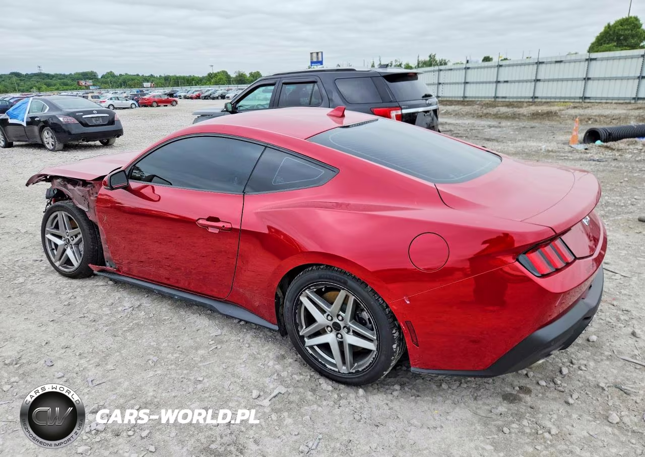 2024 Ford Mustang Gt VIN:1FA6P8CFXR5409519 - 2