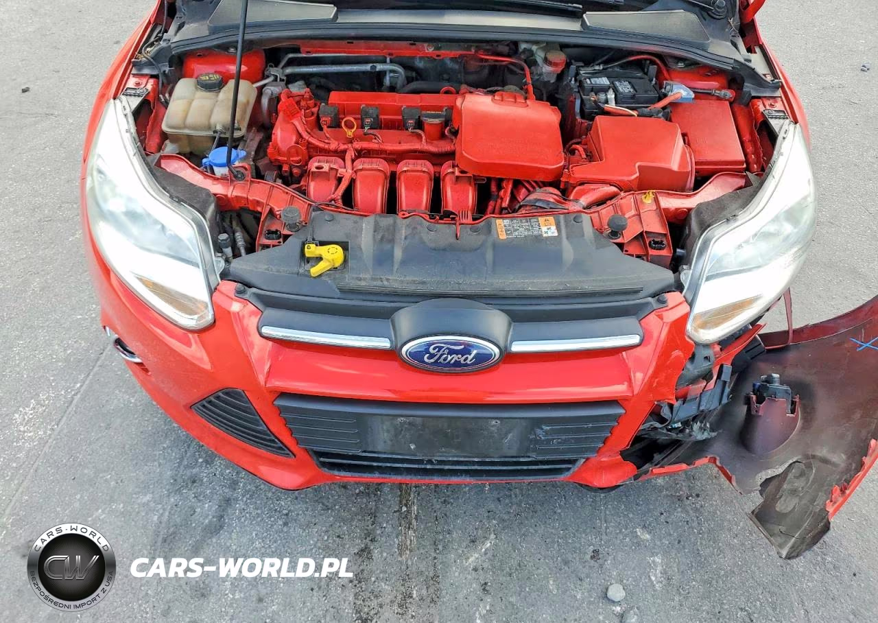 2014 Ford Focus Se VIN:1FADP3K29EL362871 - 11