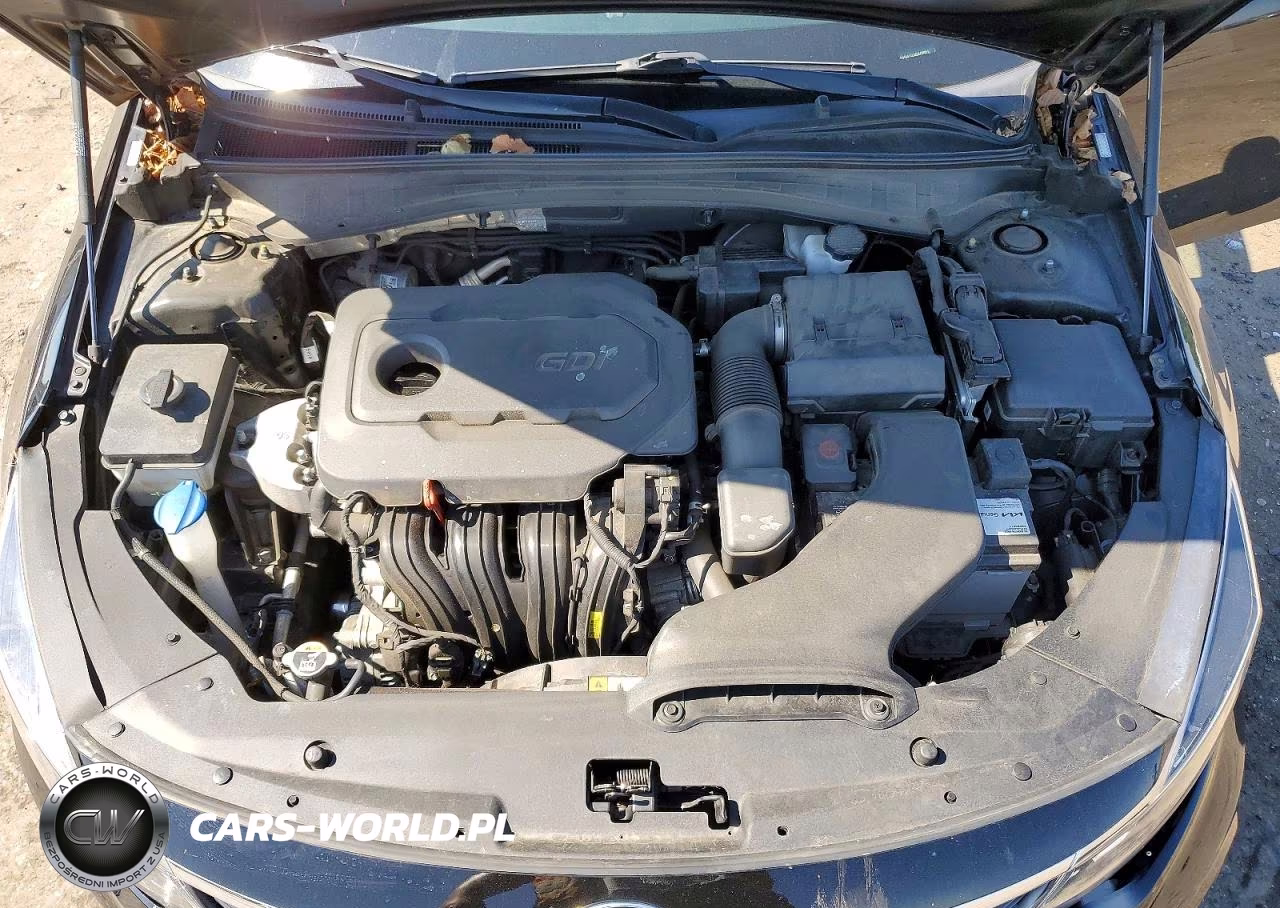 2020 Kia Optima Lx VIN:5XXGT4L39LG428011 - 11