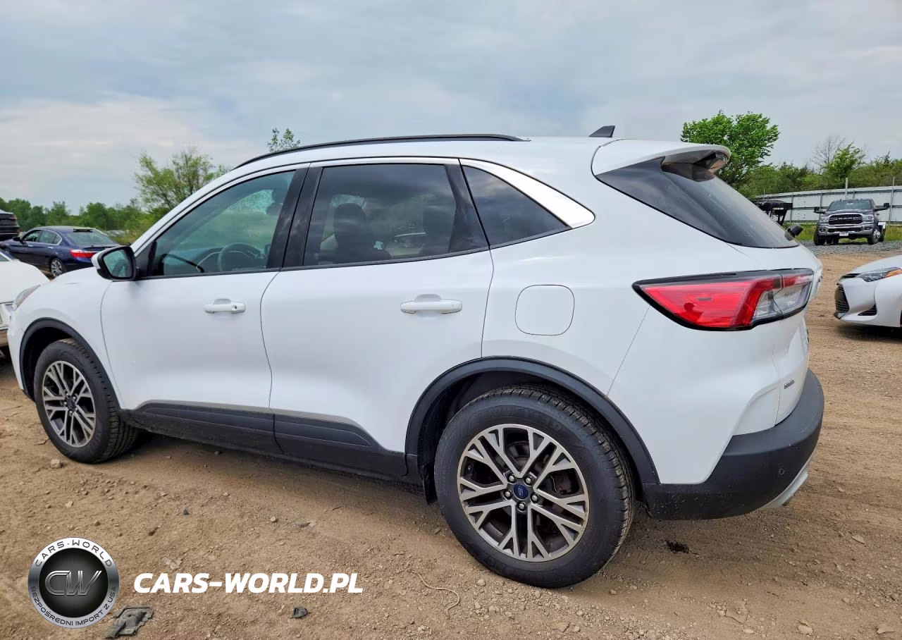 2020 Ford Escape Sel VIN:1FMCU9H65LUA98174 - 2