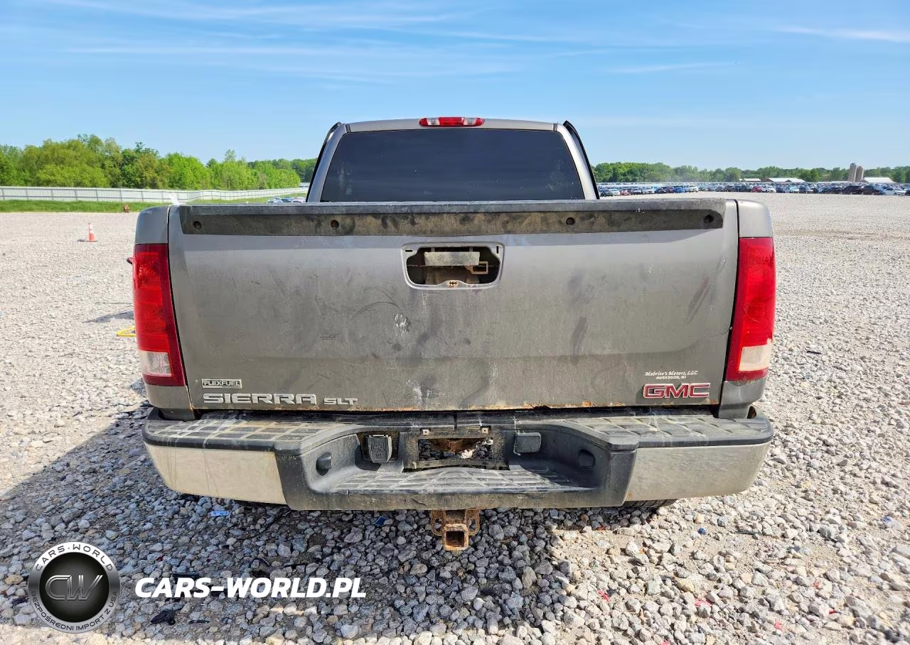 2009 GMC Sierra K1500 Sle VIN:1GTEK29069Z167373 - 6