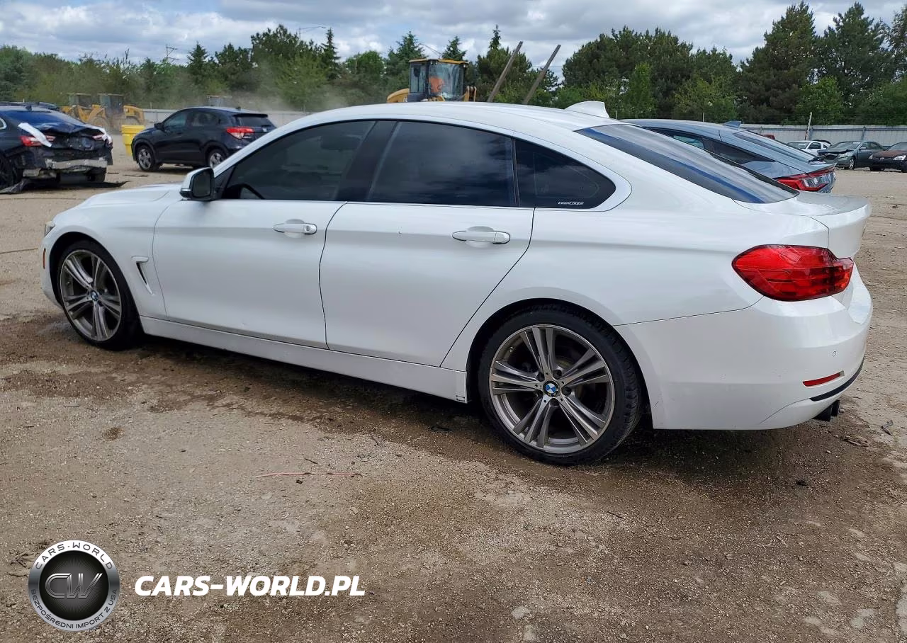 2016 BMW 428 I Gran Coupe Sulev VIN:WBA4A9C5XGGL88282 - 2
