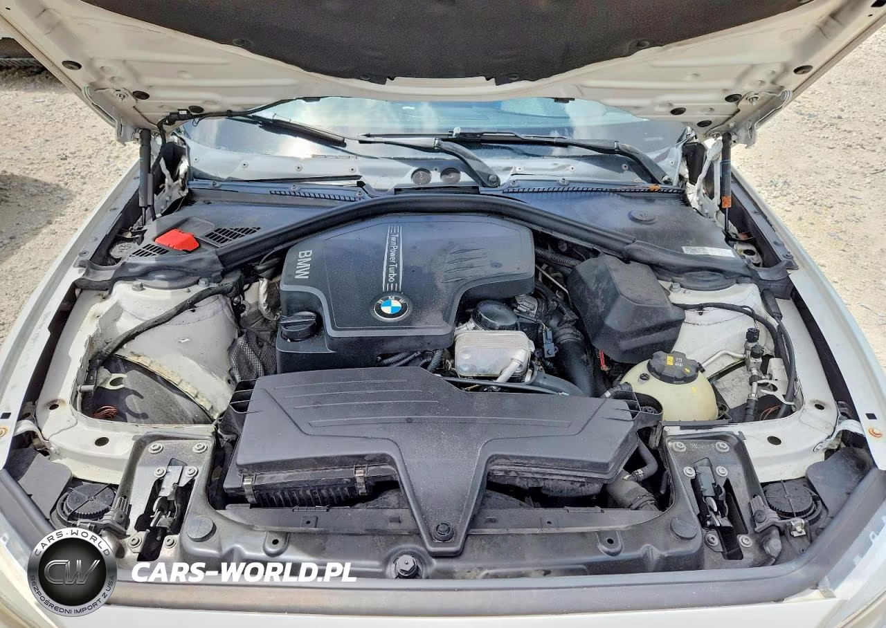 2014 BMW 228 I VIN:WBA1F5C51EV256274 - 11