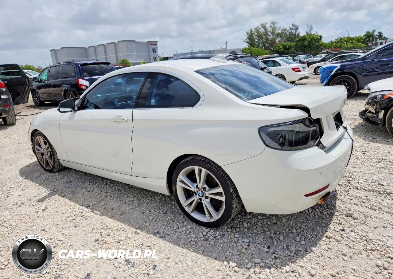 2014 BMW 228 I VIN:WBA1F5C51EV256274 - 2