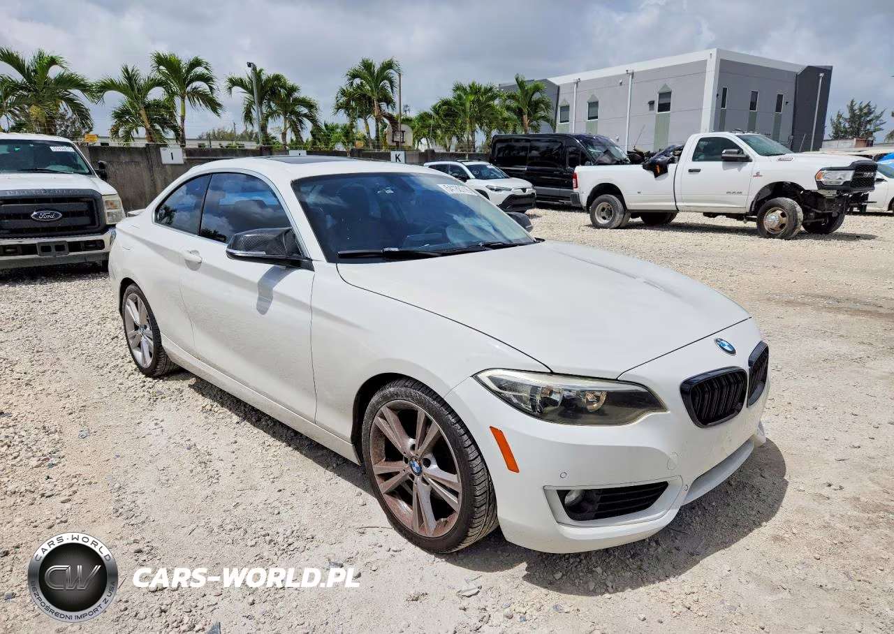 2014 BMW 228 I VIN:WBA1F5C51EV256274 - 4