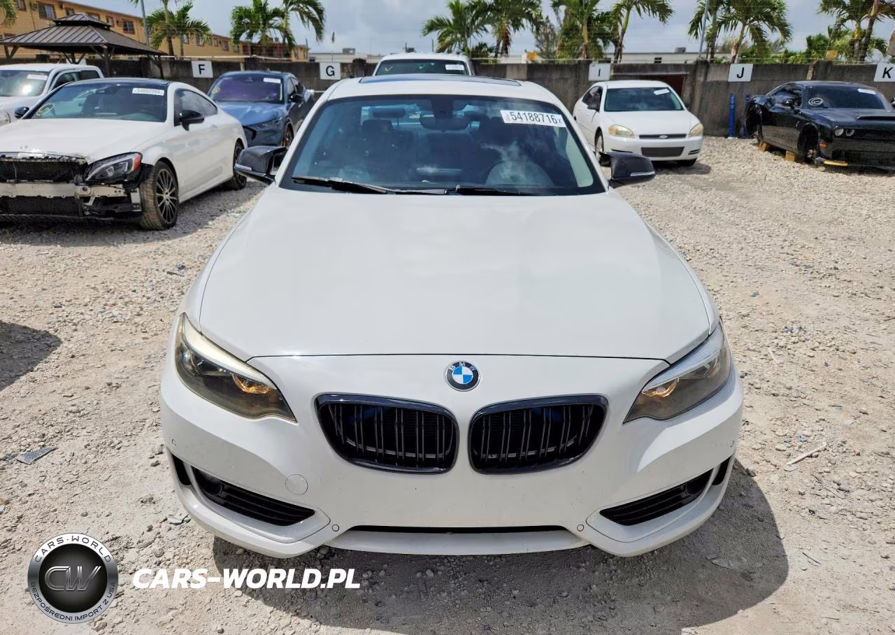 2014 BMW 228 I VIN:WBA1F5C51EV256274 - 5
