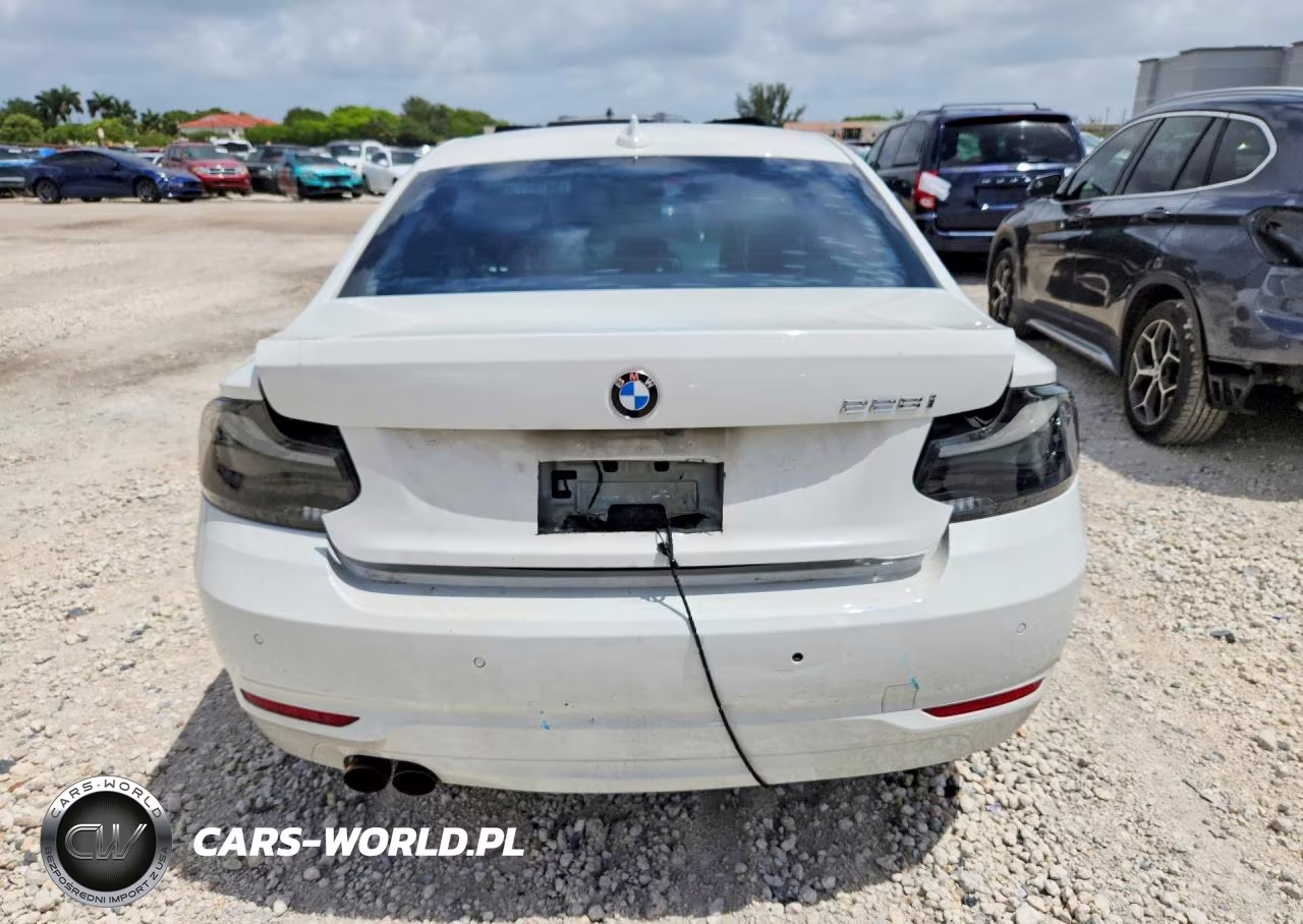 2014 BMW 228 I VIN:WBA1F5C51EV256274 - 6