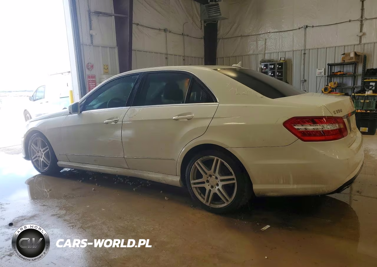 2010 Mercedes-Benz E 350 VIN:WDDHF5GB0AA231973 - 2