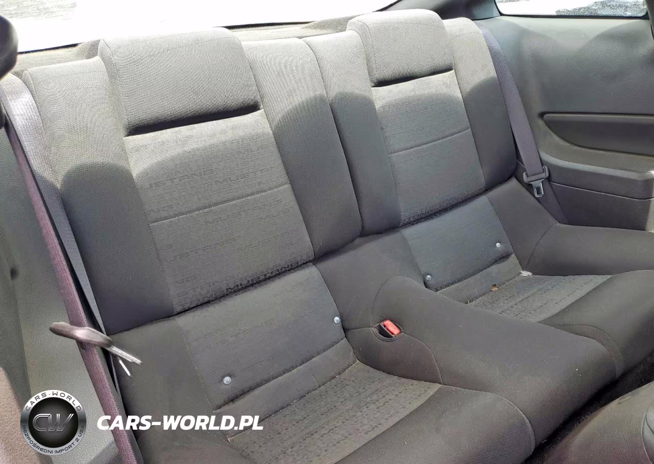 2006 Ford Mustang VIN:1ZVFT80N465176862 - 10