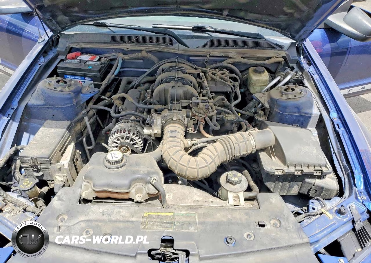 2006 Ford Mustang VIN:1ZVFT80N465176862 - 11