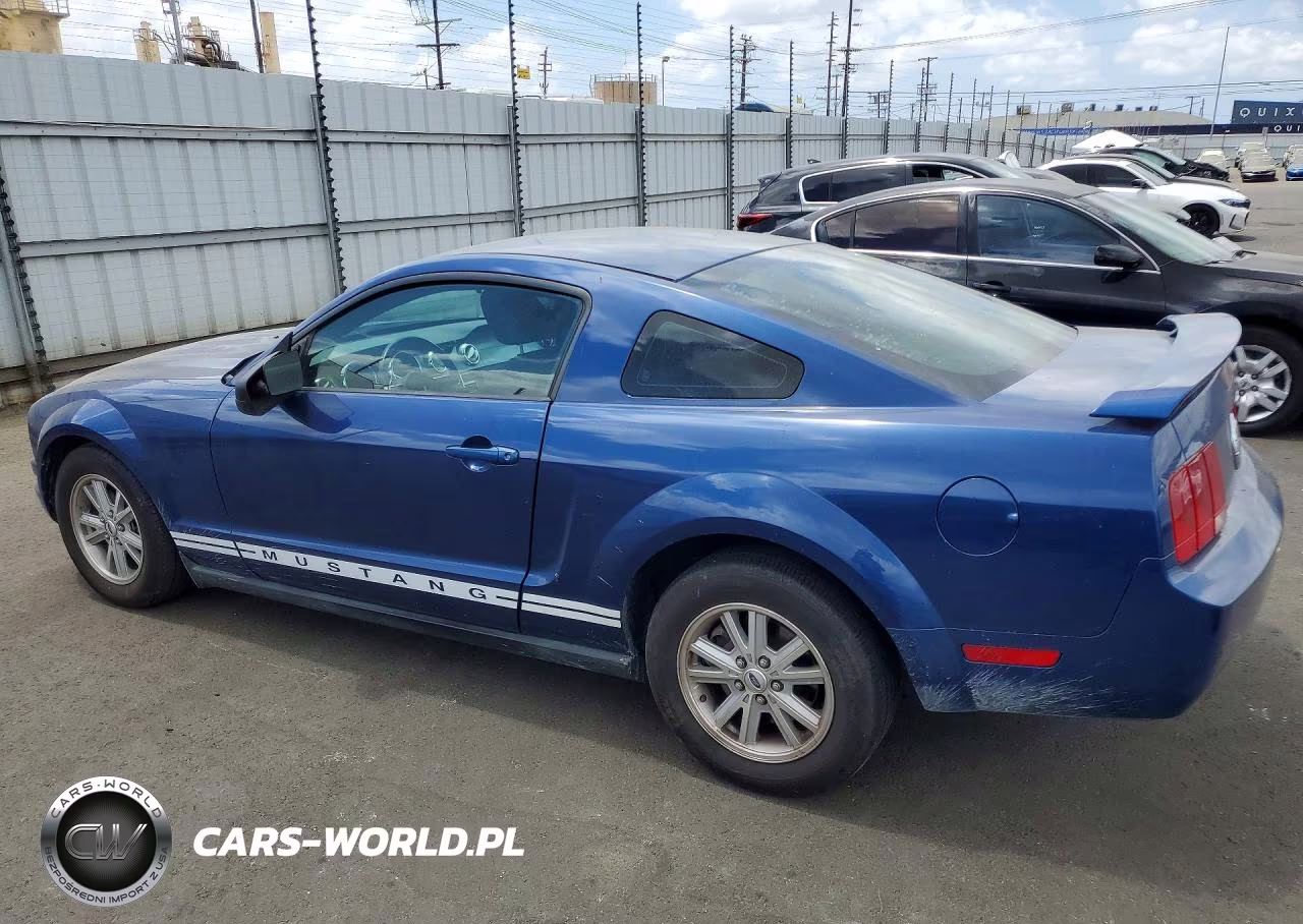 2006 Ford Mustang VIN:1ZVFT80N465176862 - 2