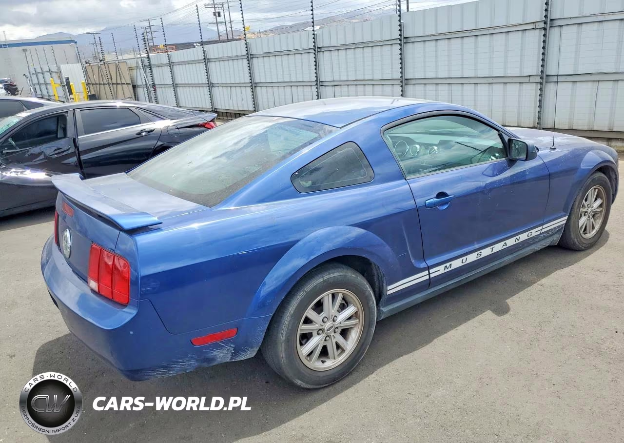 2006 Ford Mustang VIN:1ZVFT80N465176862 - 3