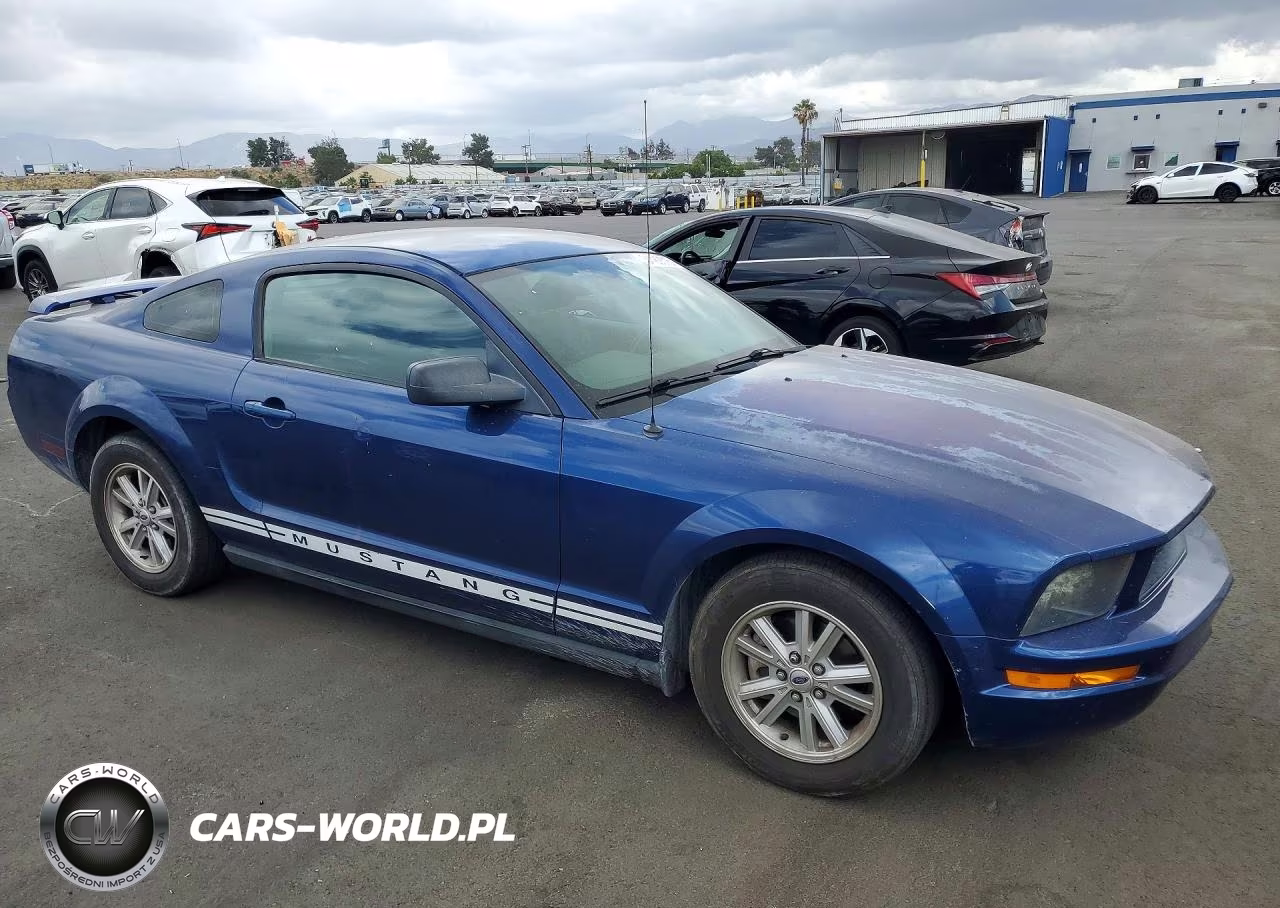2006 Ford Mustang VIN:1ZVFT80N465176862 - 4