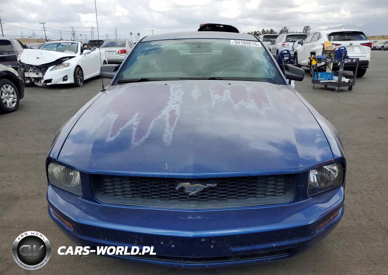 2006 Ford Mustang VIN:1ZVFT80N465176862 - 5