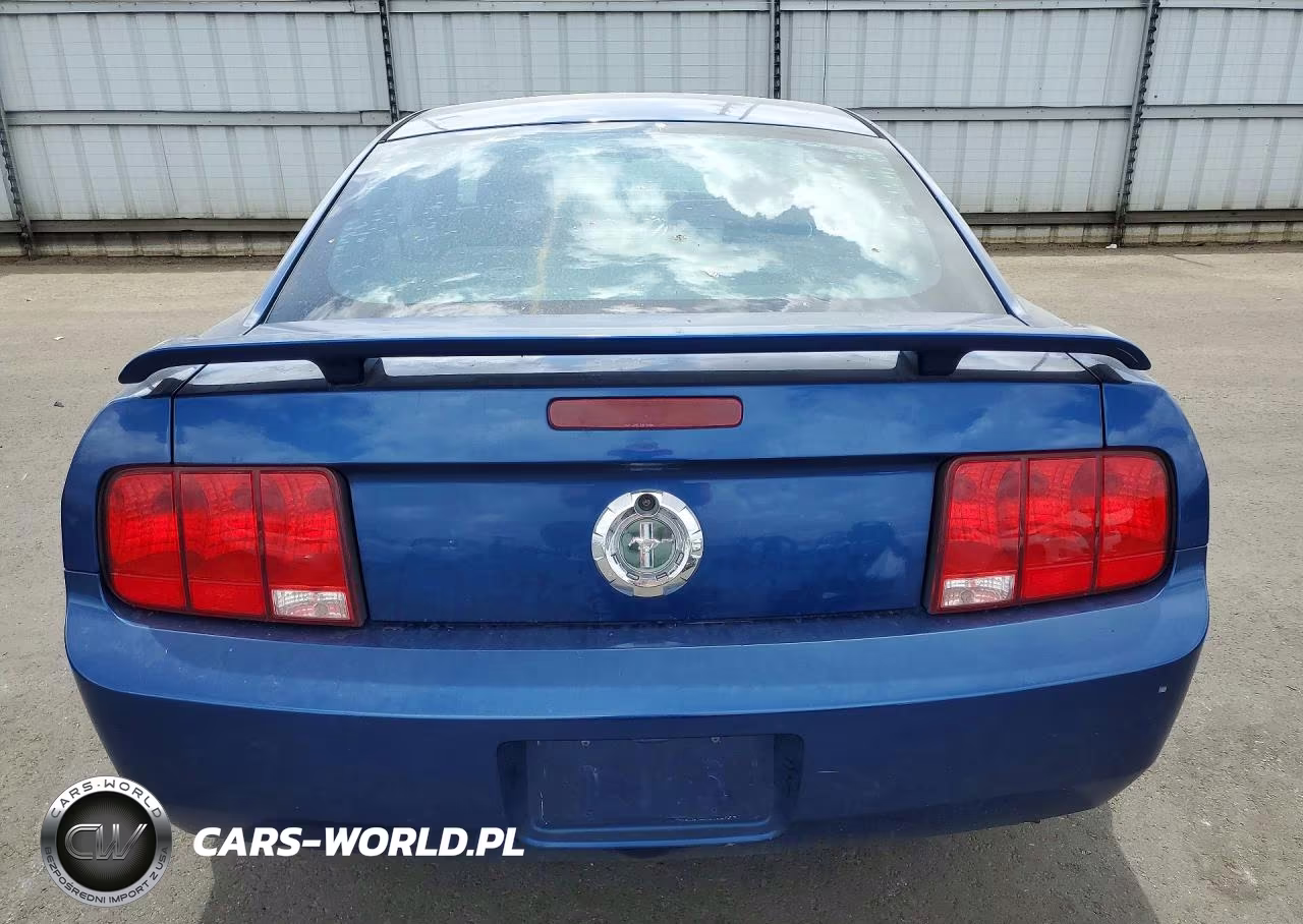 2006 Ford Mustang VIN:1ZVFT80N465176862 - 6