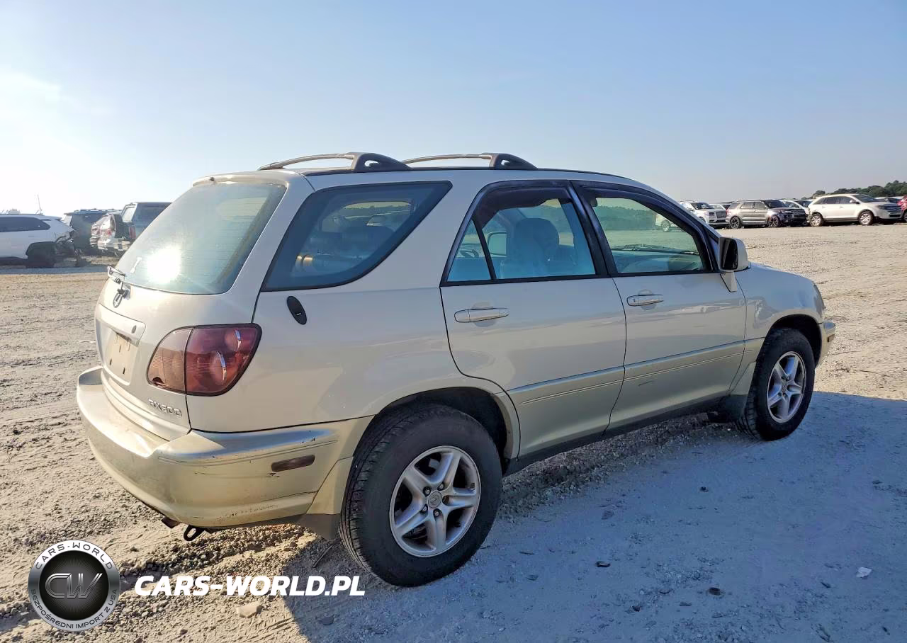 2000 Lexus Rx 300 VIN:JT6HF10U3Y0120310 - 3