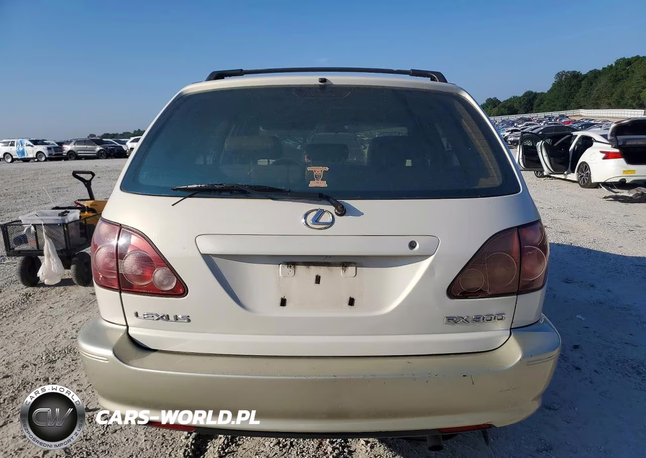 2000 Lexus Rx 300 VIN:JT6HF10U3Y0120310 - 6