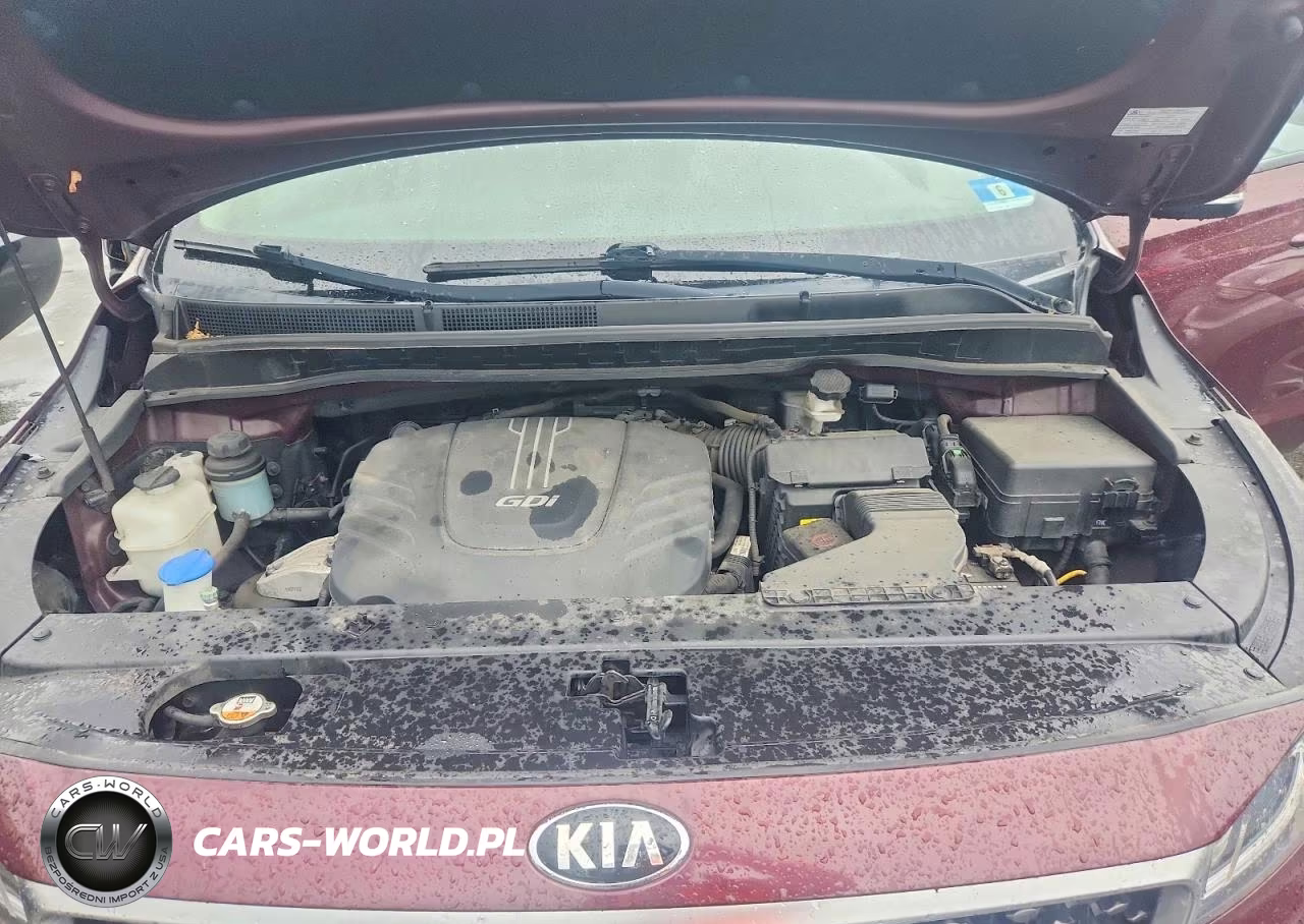 2017 Kia Sedona Lx VIN:KNDMB5C19H6284413 - 12
