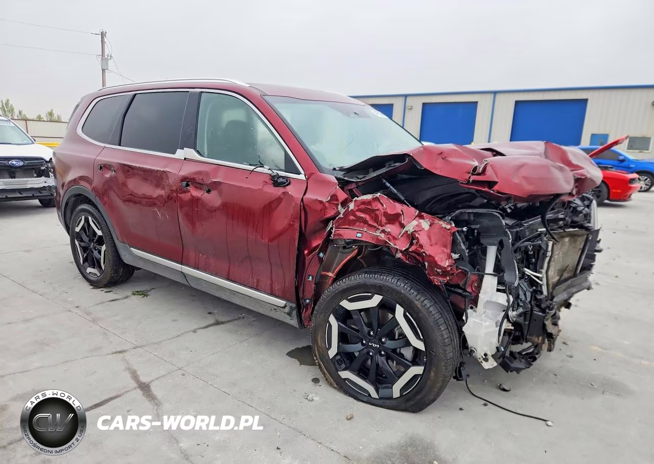 2024 Kia Telluride Ex VIN:5XYP34GC0RG422905 - 4