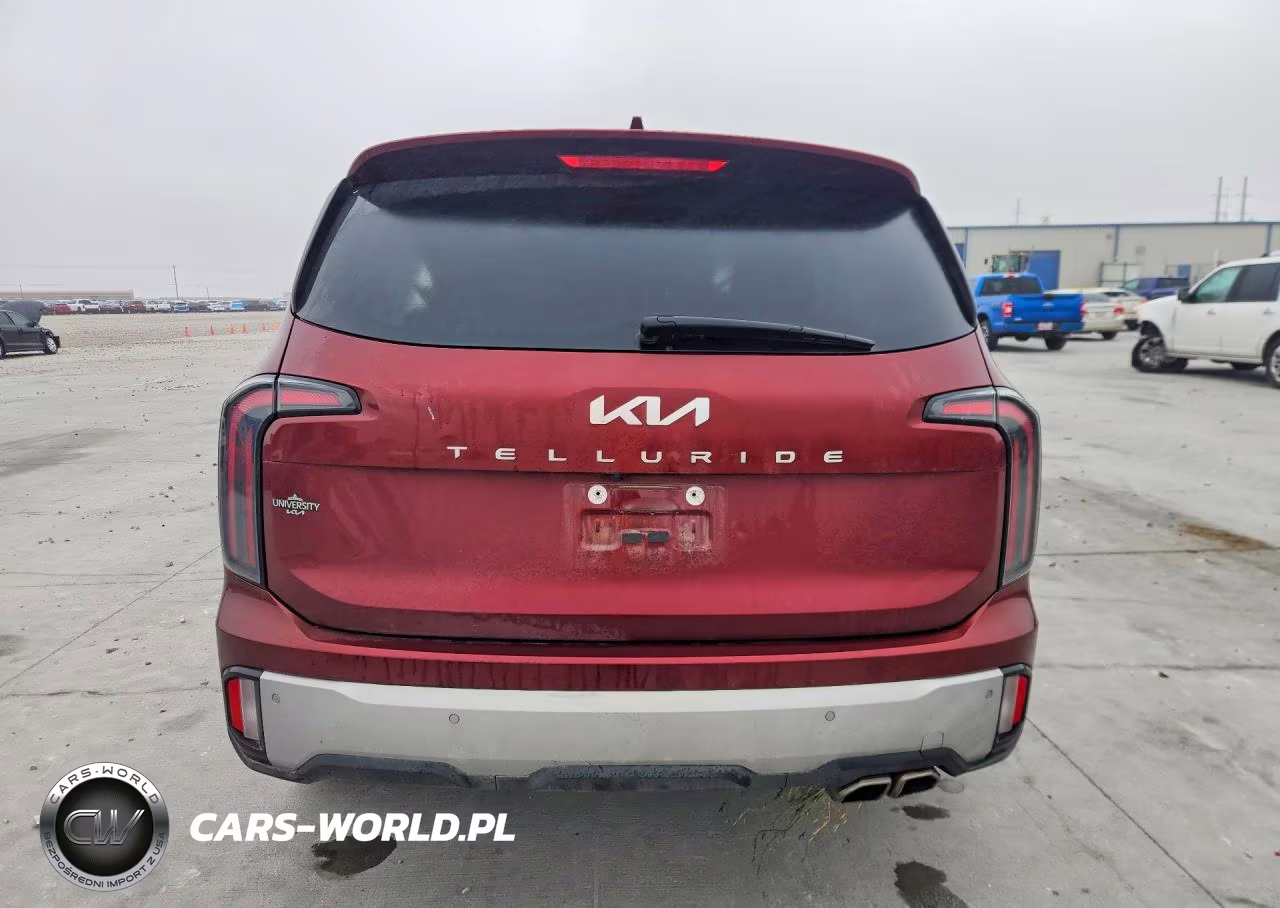 2024 Kia Telluride Ex VIN:5XYP34GC0RG422905 - 6