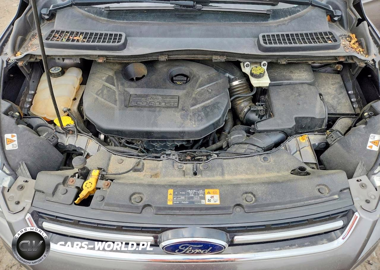 2013 Ford Escape Titanium VIN:1FMCU9J9XDUC66624 - 12