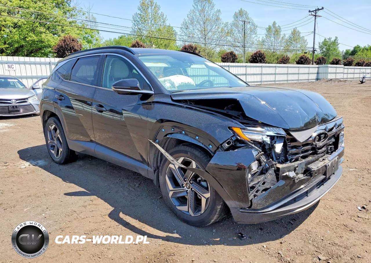 2022 Hyundai Tucson Limited VIN:KM8JECA19NU033962 - 4