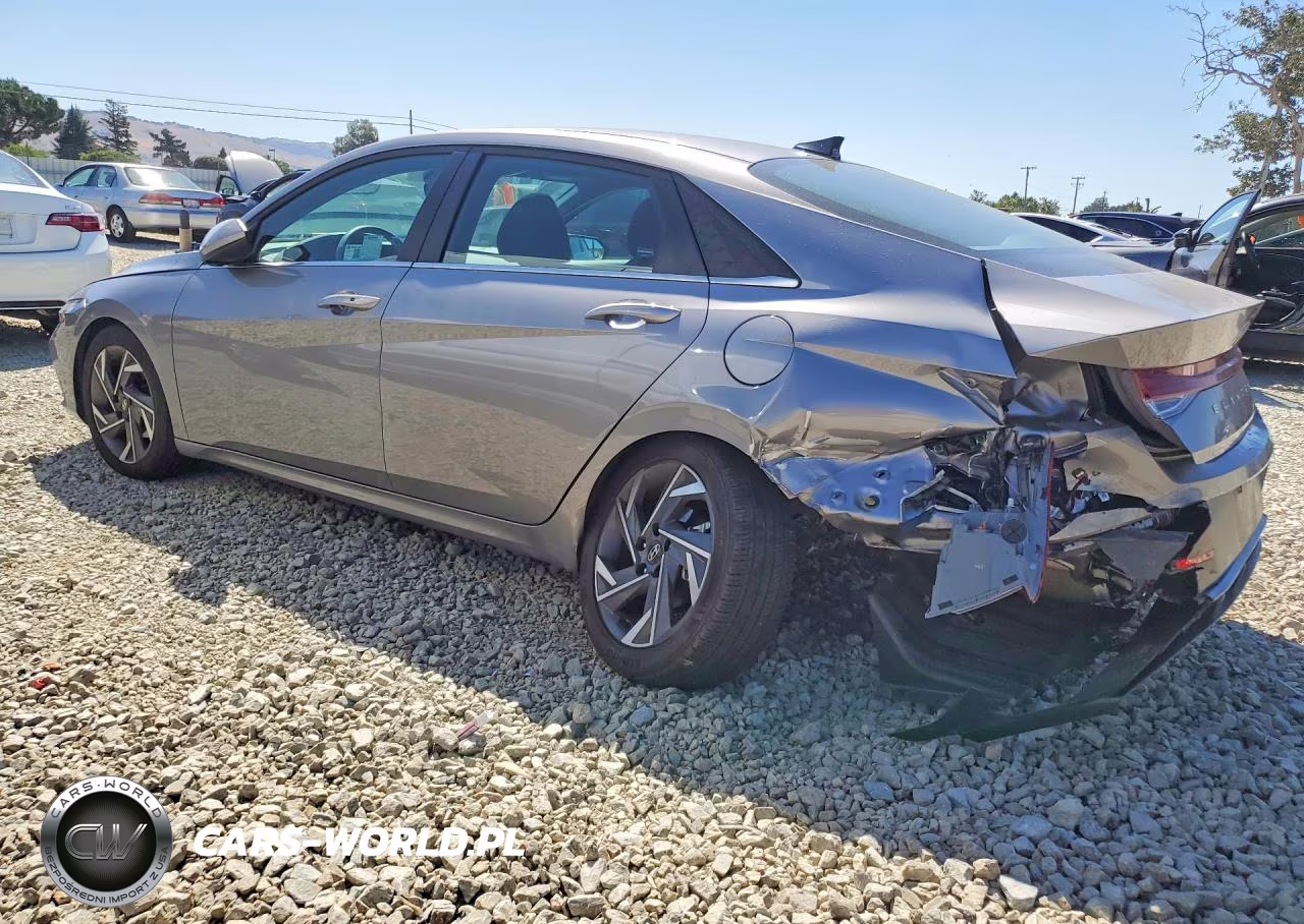 2025 Hyundai Elantra Sel VIN:KMHLS4DG2SU890496 - 2