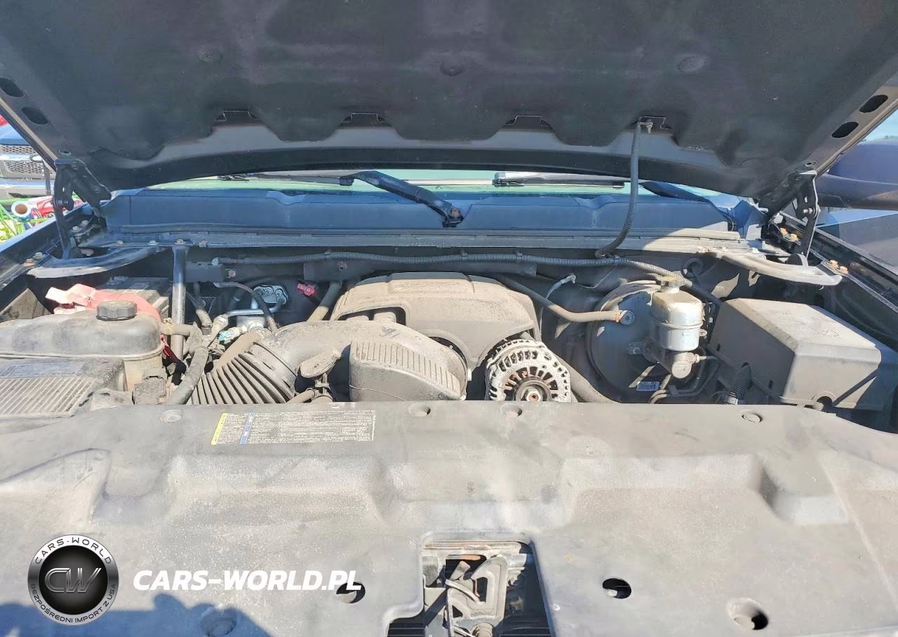 2009 Chevrolet Silverado K1500 VIN:1GCEK19C79Z285310 - 11