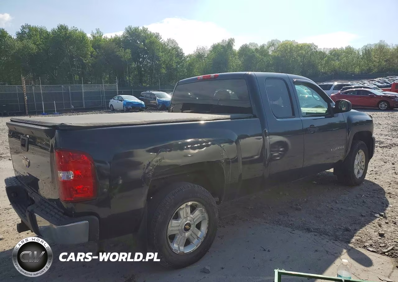 2009 Chevrolet Silverado K1500 VIN:1GCEK19C79Z285310 - 3