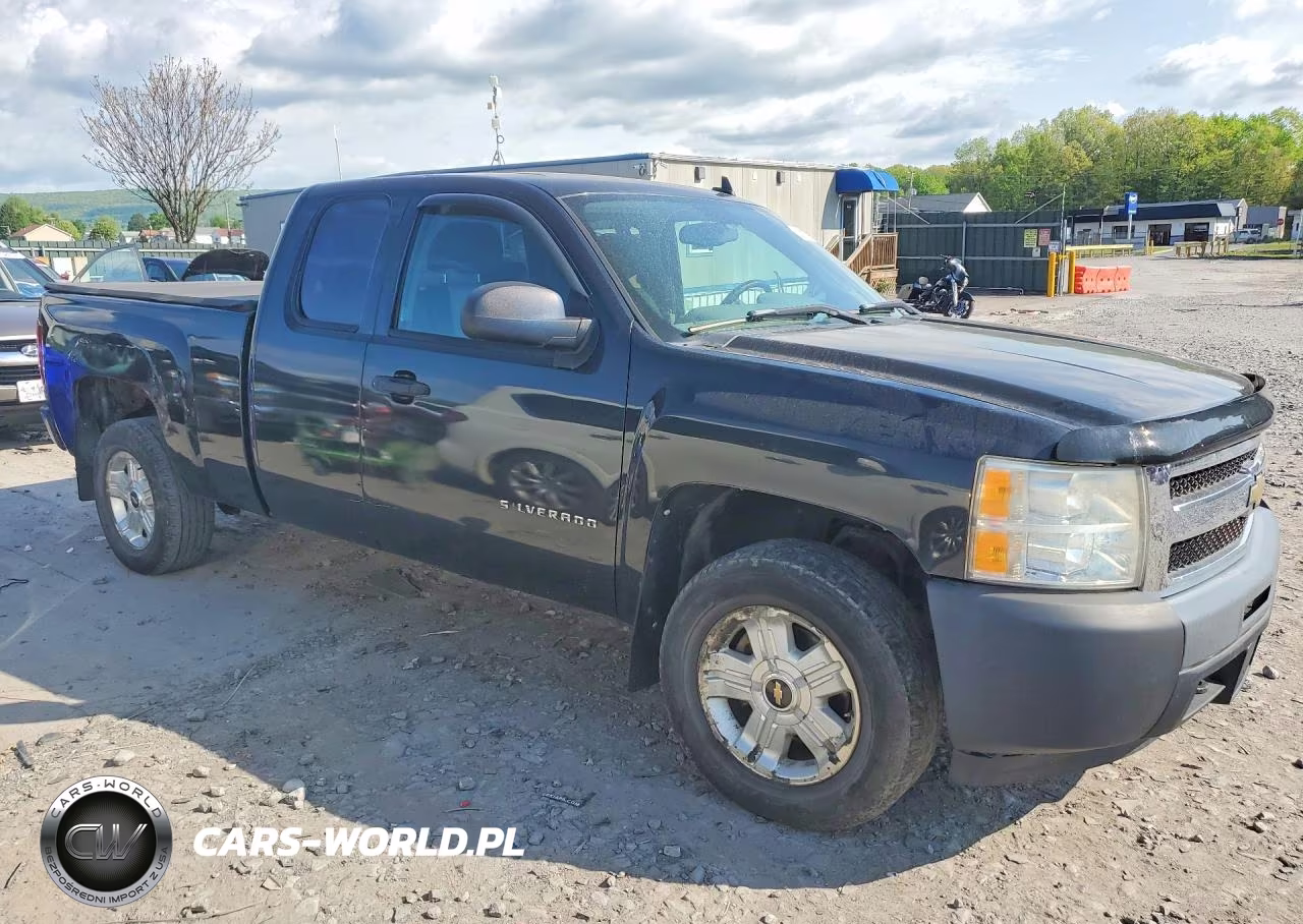 2009 Chevrolet Silverado K1500 VIN:1GCEK19C79Z285310 - 4