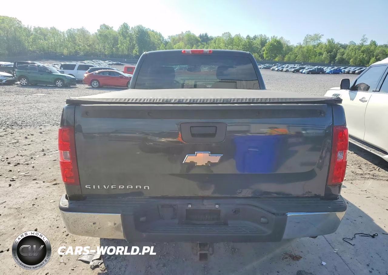 2009 Chevrolet Silverado K1500 VIN:1GCEK19C79Z285310 - 6