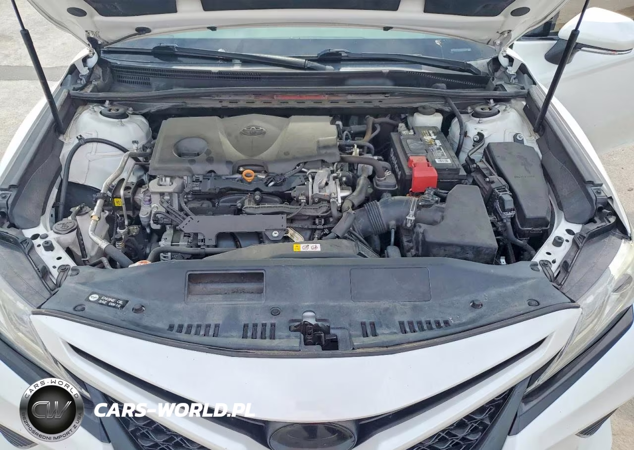 2019 Toyota Camry Xse VIN:4T1B61HK5KU756031 - 11