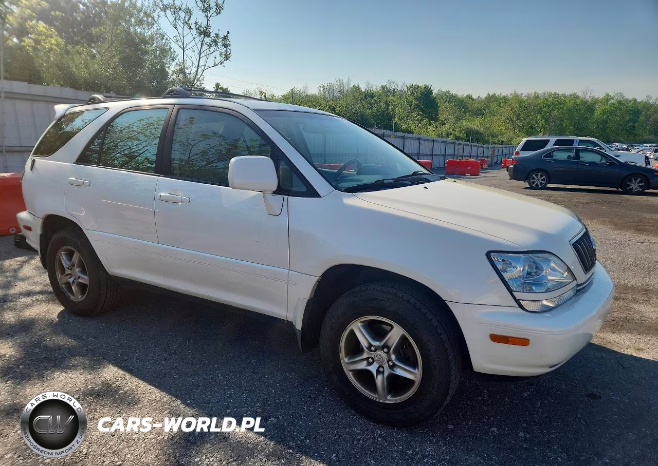 2002 Lexus Rx 300 VIN:JTJHF10U720274984 - 4
