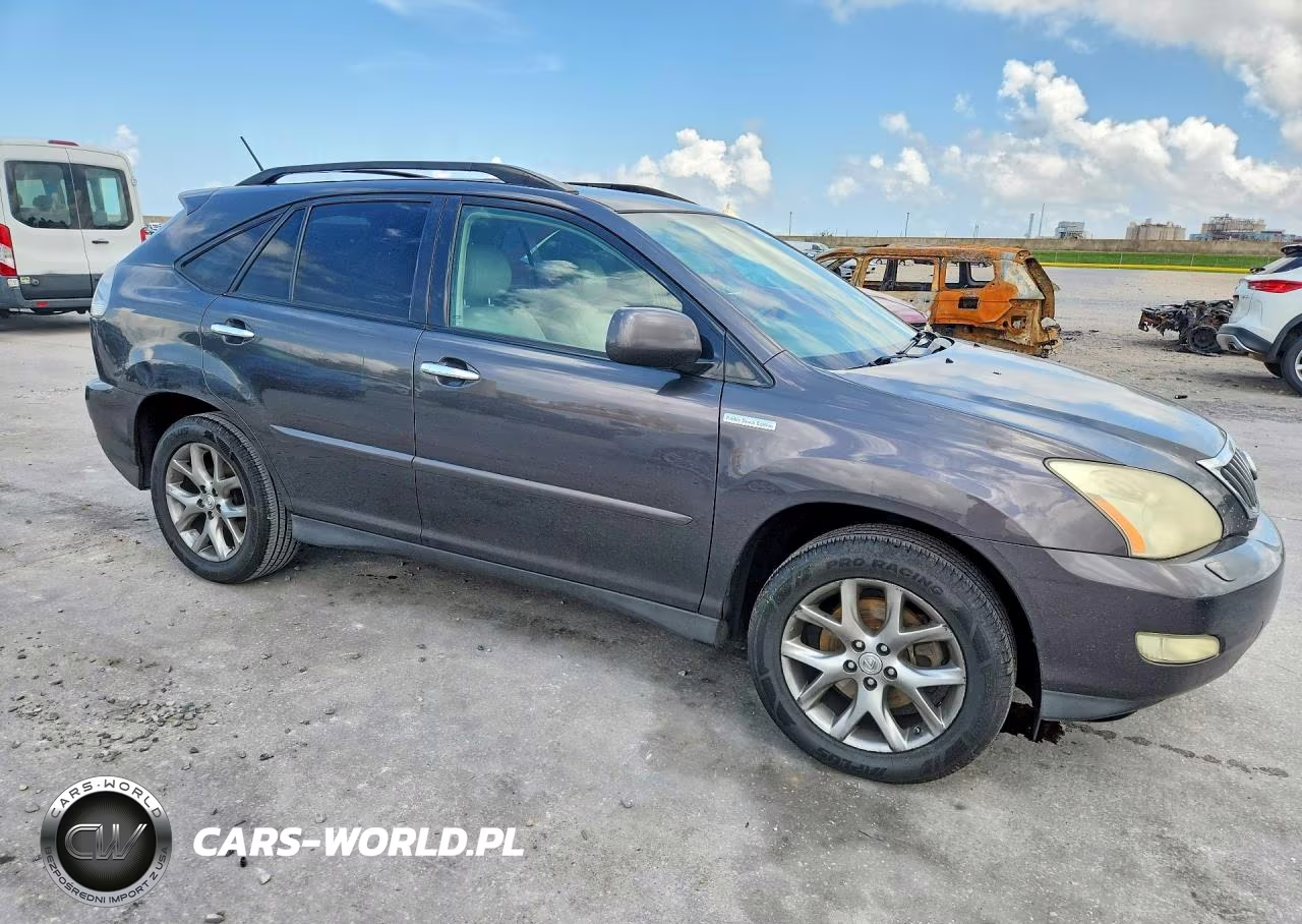 2009 Lexus Rx 350 VIN:2T2GK31UX9C066923 - 4