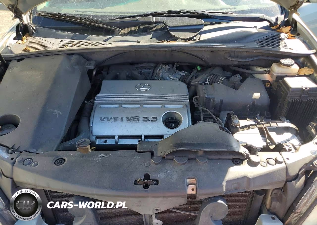 2005 Lexus Rx 330 VIN:JTJHA31U150091531 - 12