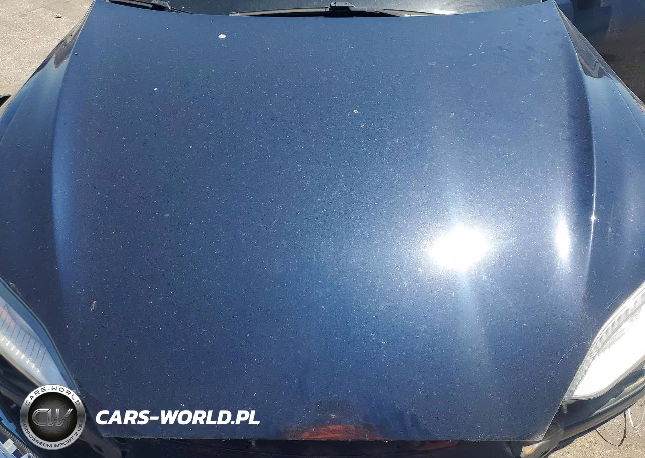 2013 Tesla Model S VIN:5YJSA1AG2DFP12122 - 11